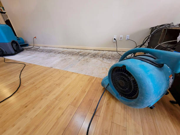 Professional Water Extraction technician working in Cold Spring, MN